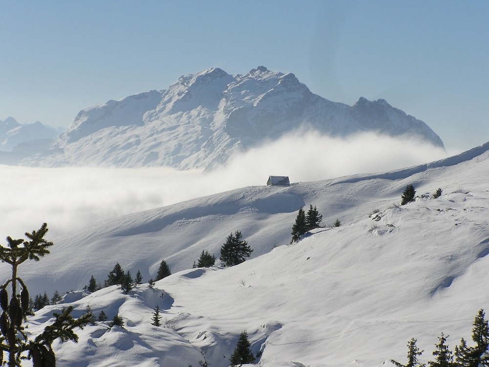 Le refuge perdu