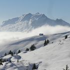 Le refuge perdu