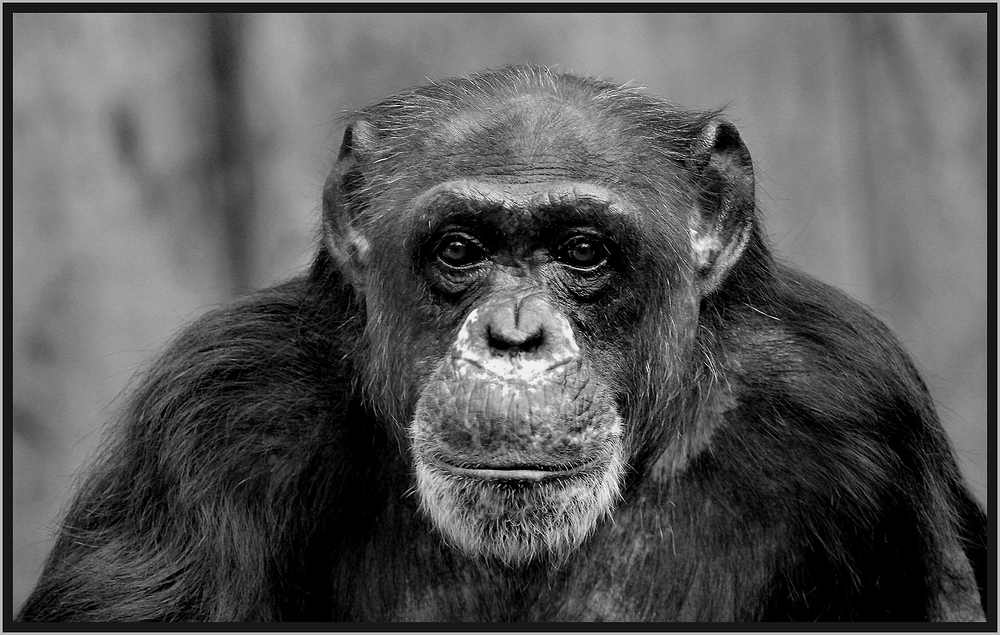 Le regard de Denis Heirendt 