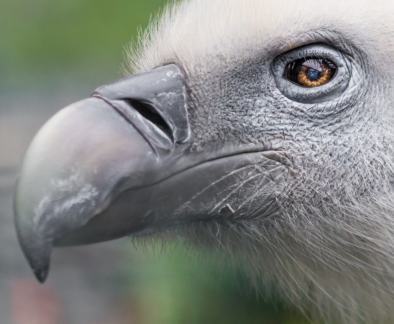 Le regard