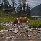 Le Regine delle Dolomiti