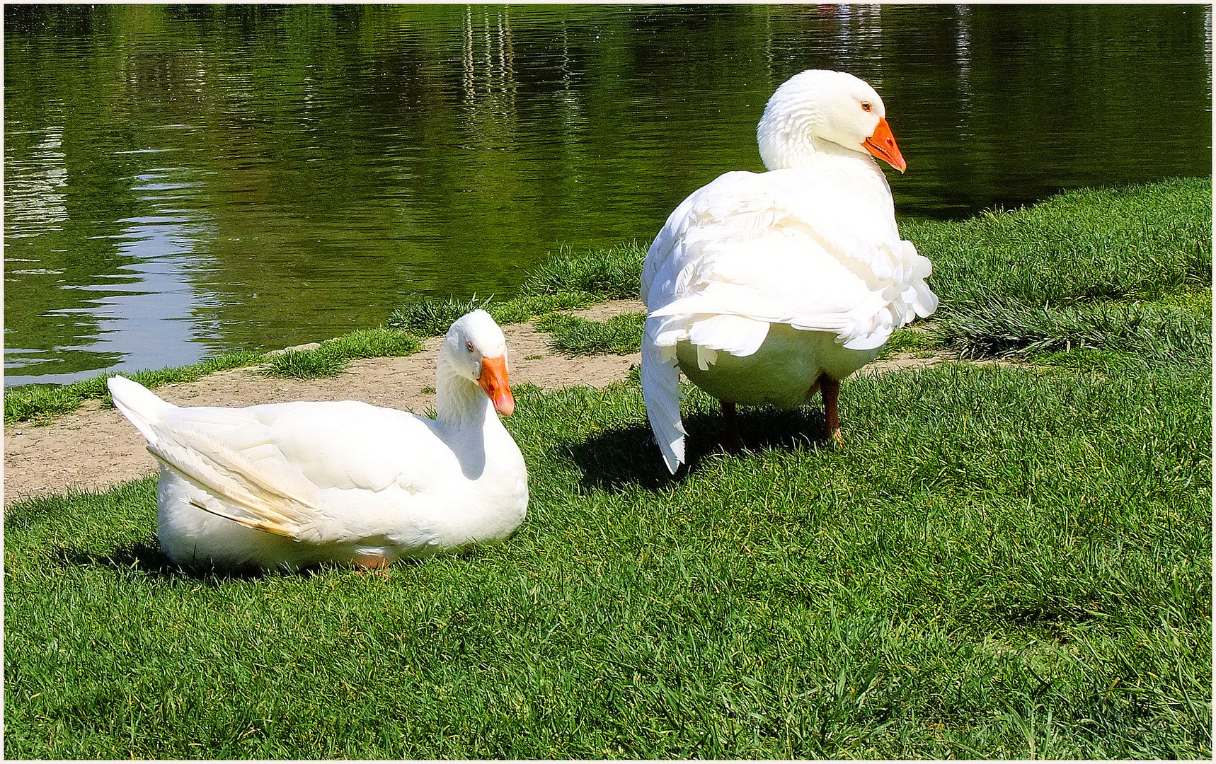 Le repos au lac