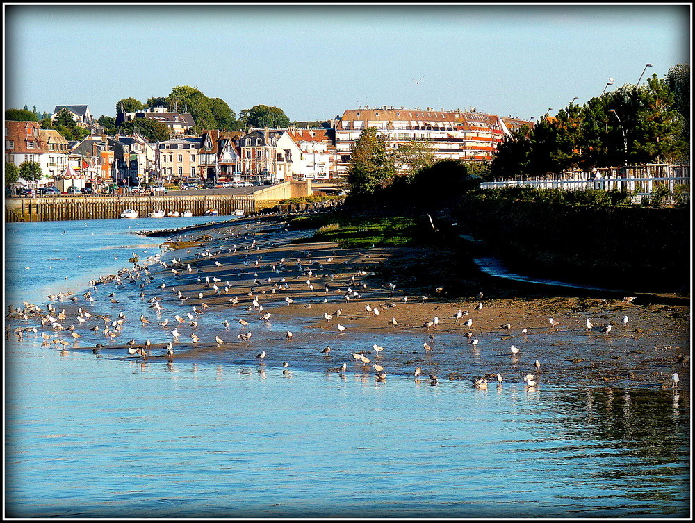 LE REPOS DU GOELAND