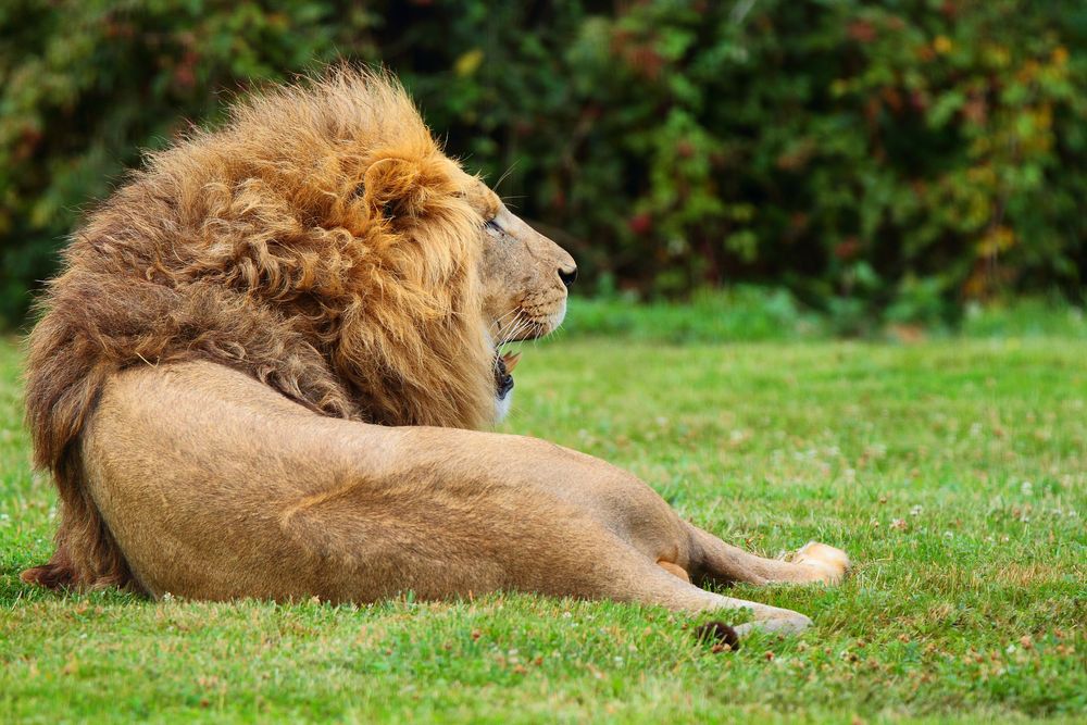 le repos du guerrier 