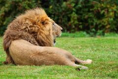 le repos du guerrier 