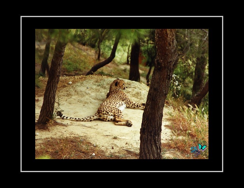 Le repos du guerrier