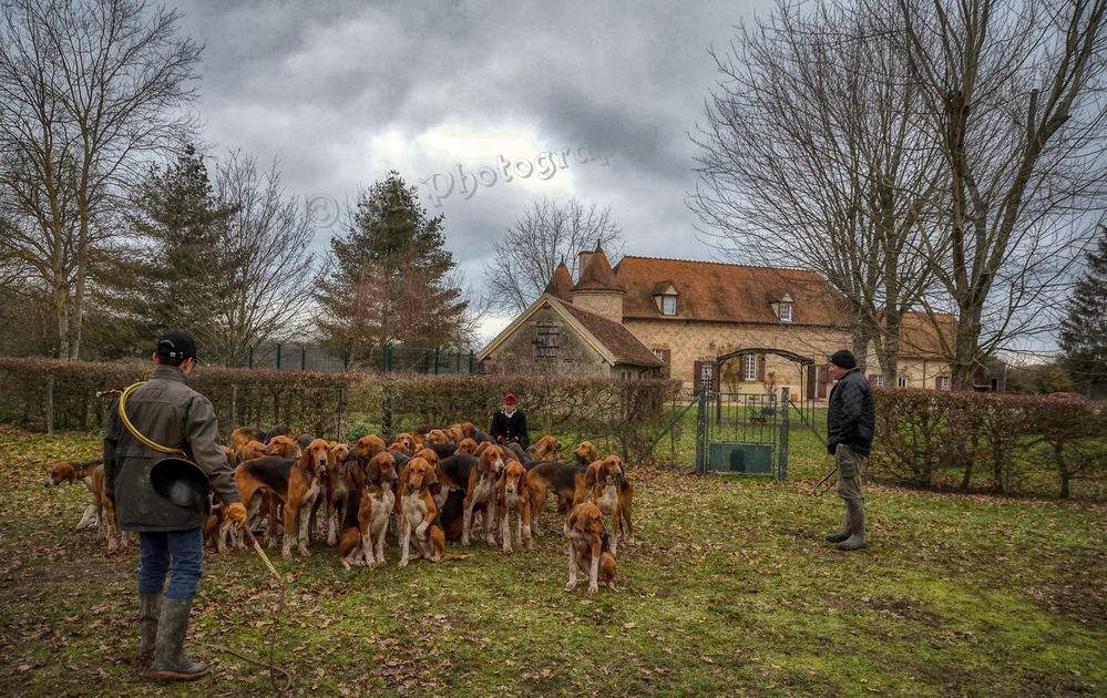 Le repos  du maître d'équipage et des chiens 