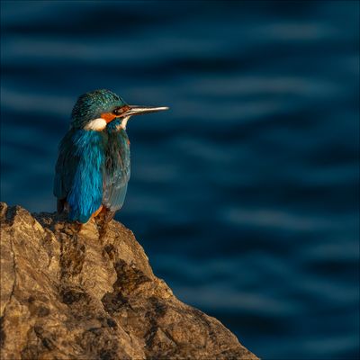 Le repos du pécheur