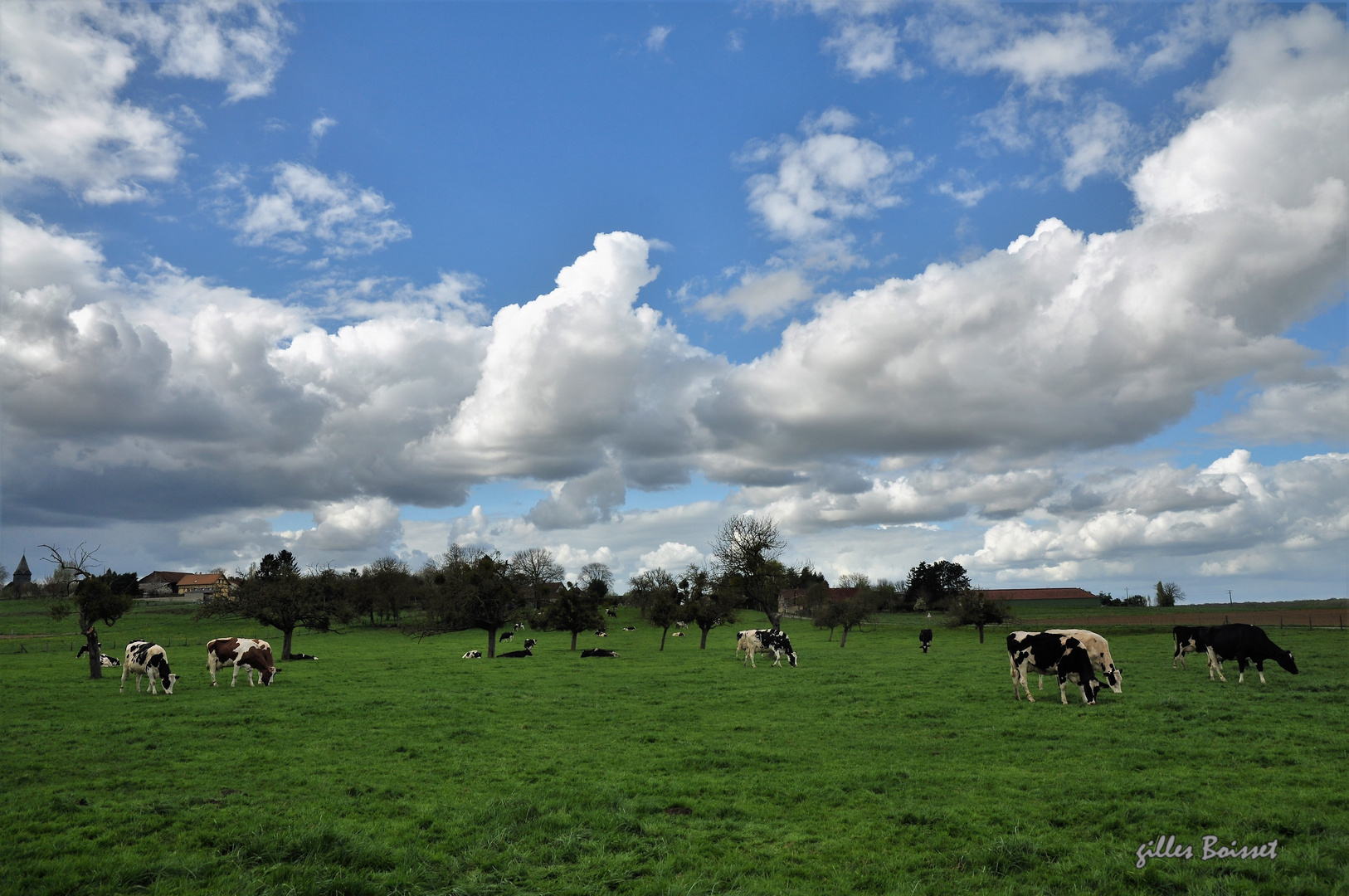 Le retour au pré