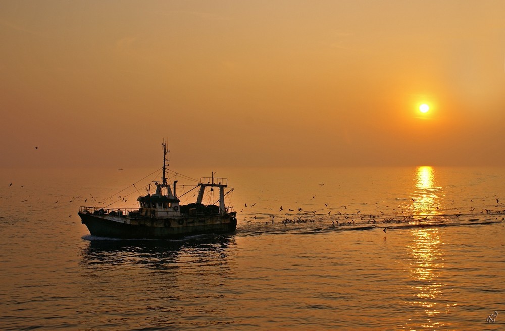 Le retour du pêcheur...