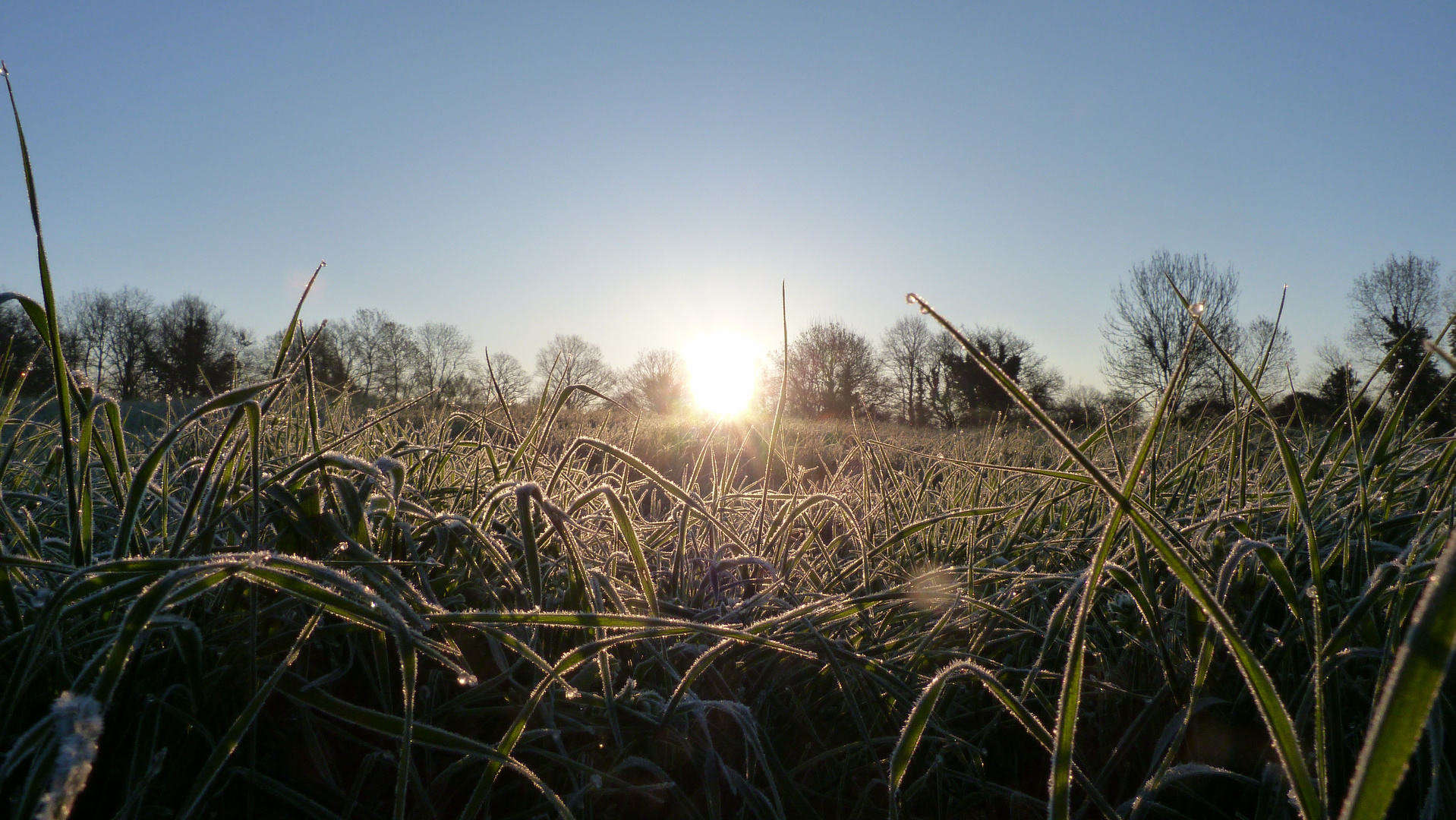 le retour du printemps et du soleil