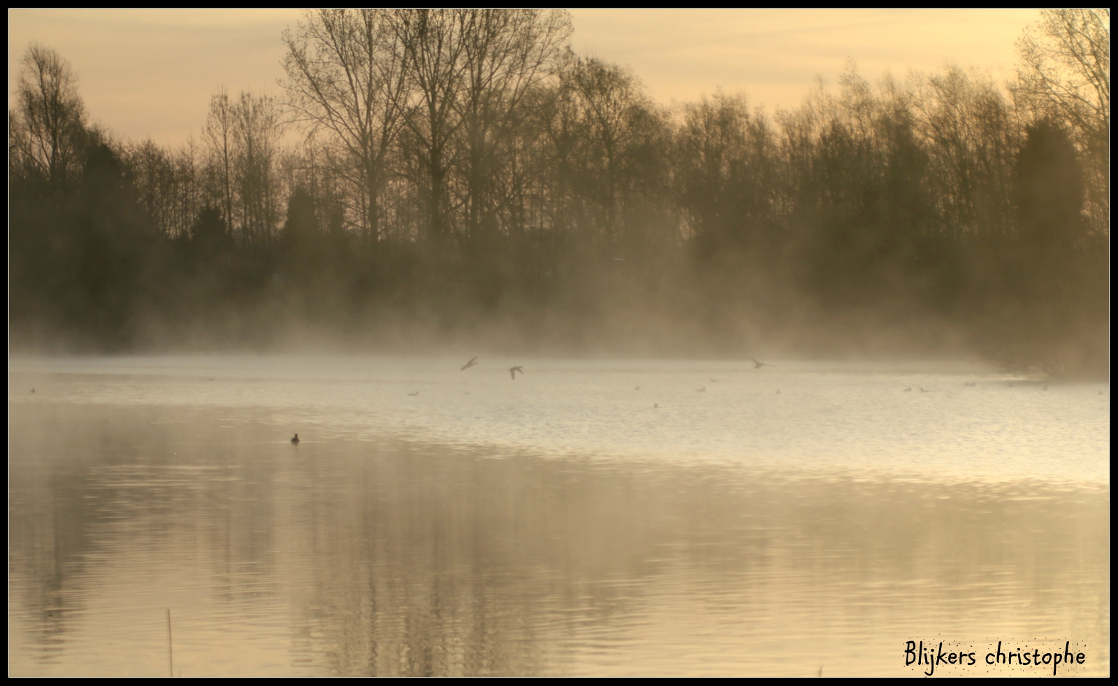 le Réveil sur Bambois