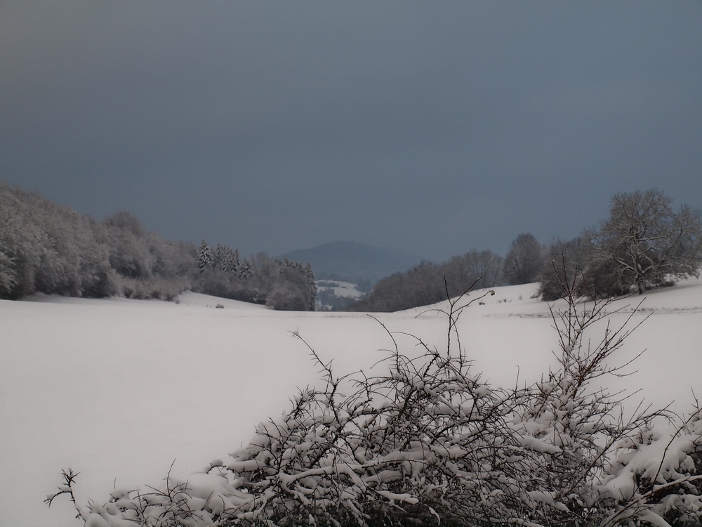 Le revermont sous la neige 2