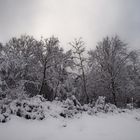 Le revermont sous la neige 3