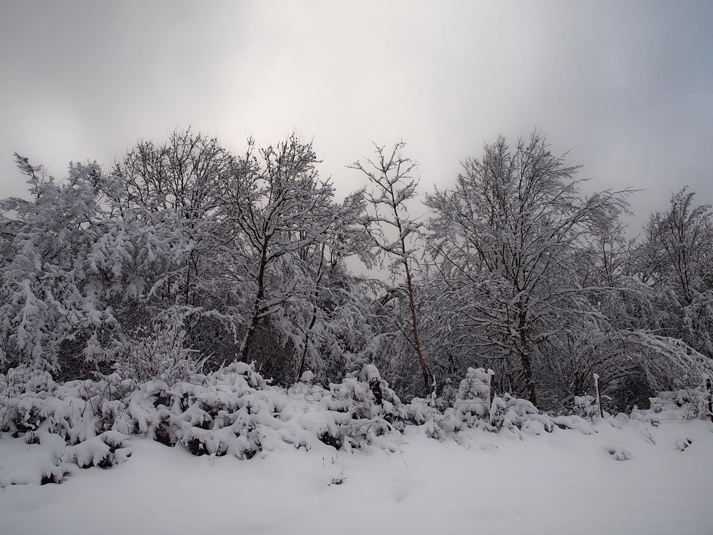 Le revermont sous la neige 3