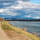 Le Rhin, toujours magnifique