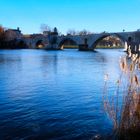 Le Rhône à Avignon