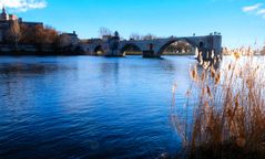 Le Rhône à Avignon