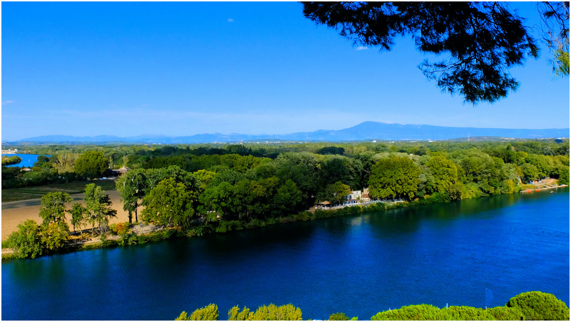 Le Rhône à Avignon