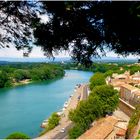 Le Rhône à Avignon