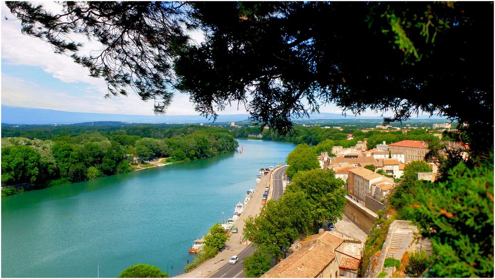 Le Rhône à Avignon