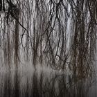 le rideau dans l'eau