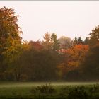 le rideau de brume descend lentement sur la prairie.....