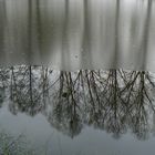 Le rideau de scène a demi baissé .