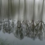 Le rideau de scène a demi baissé .