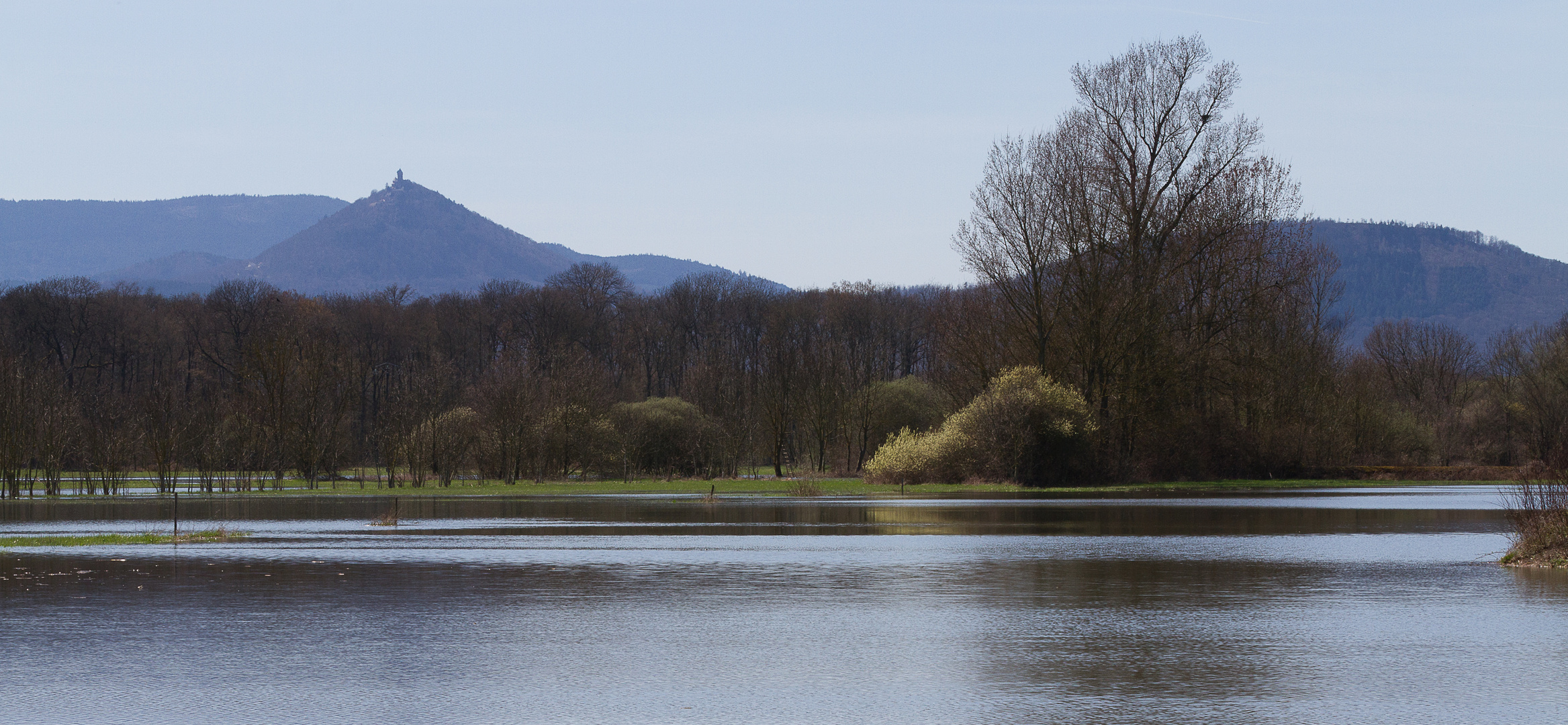 Le ried au printemps