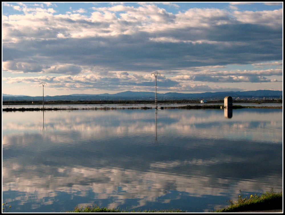 Le risaie de la Albufera...allagate