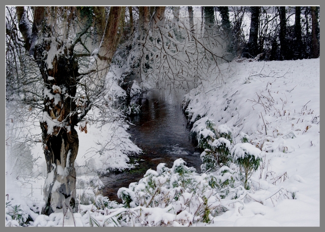 le Risbec en hiver