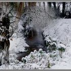 le Risbec en hiver