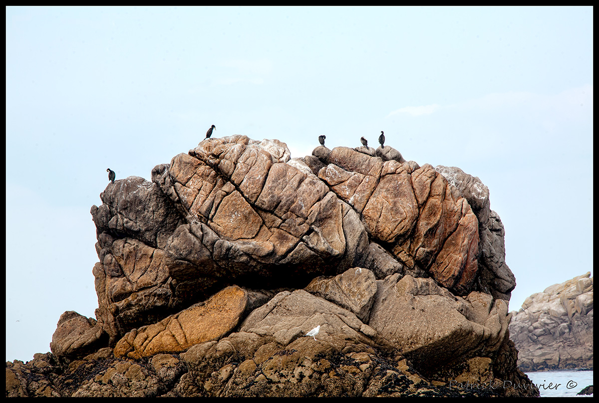 Le rocher aux Cormorans