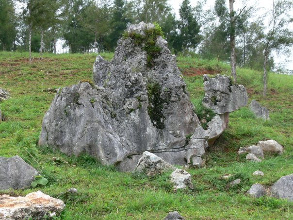 Le rocher chameau