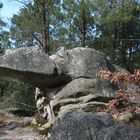 Le rocher de la Tortue aux 25 bosses de Fontainebleau..