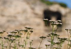 Le Rocher du Bock