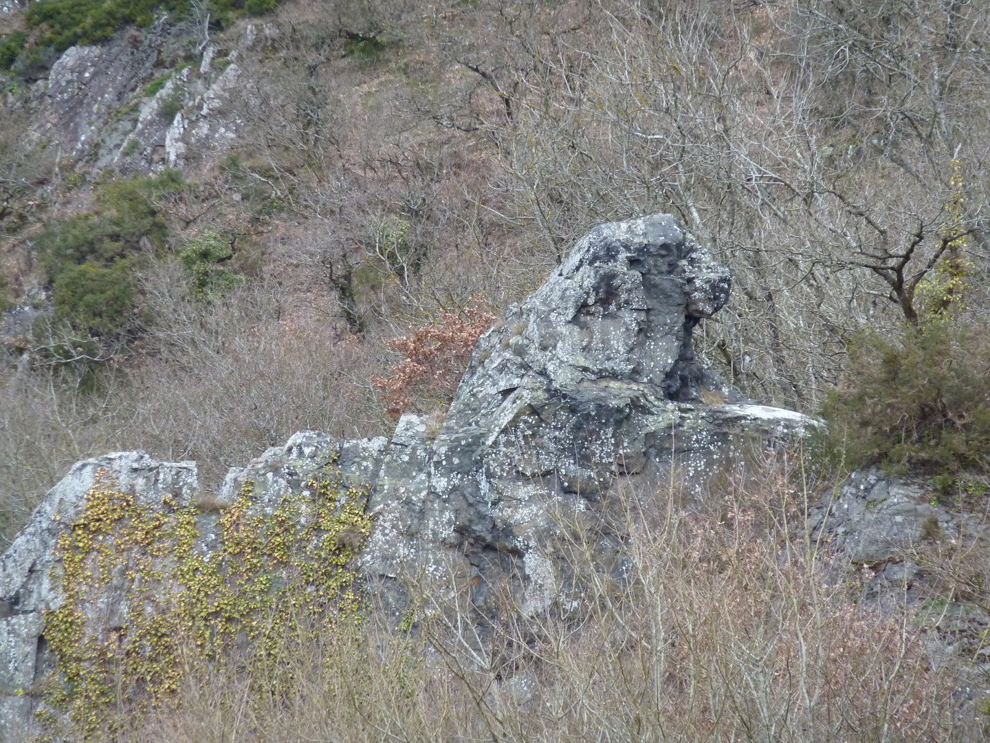 Le rocher du lion a Pont D'ouilly Calvados