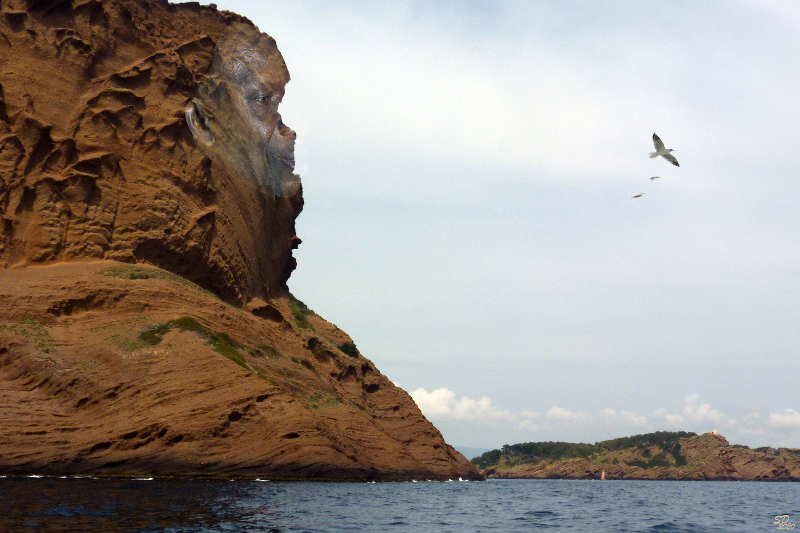 Le rocher qui regarde la mer