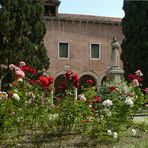 Le rose di S. Francesco