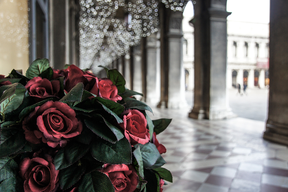 Le rose di Venezia