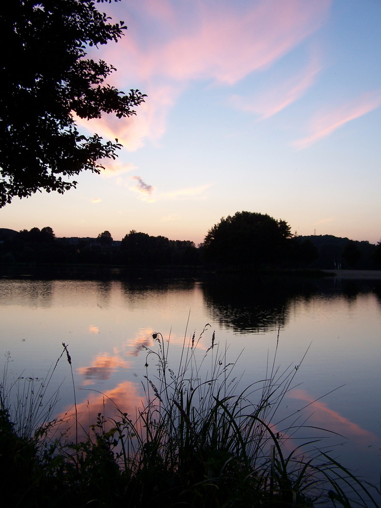 Le rose nuage