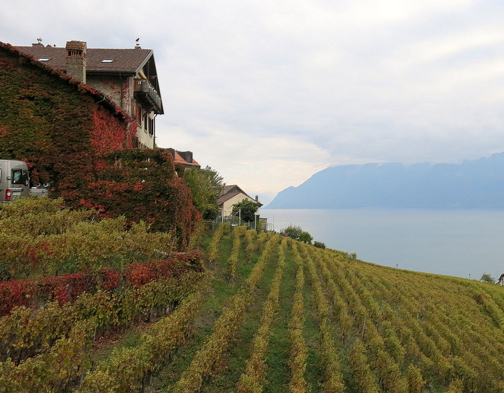 le rouge d' automne..