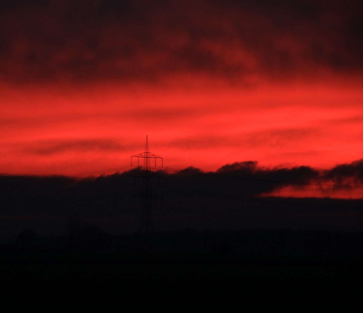 "le rouge et le noir"