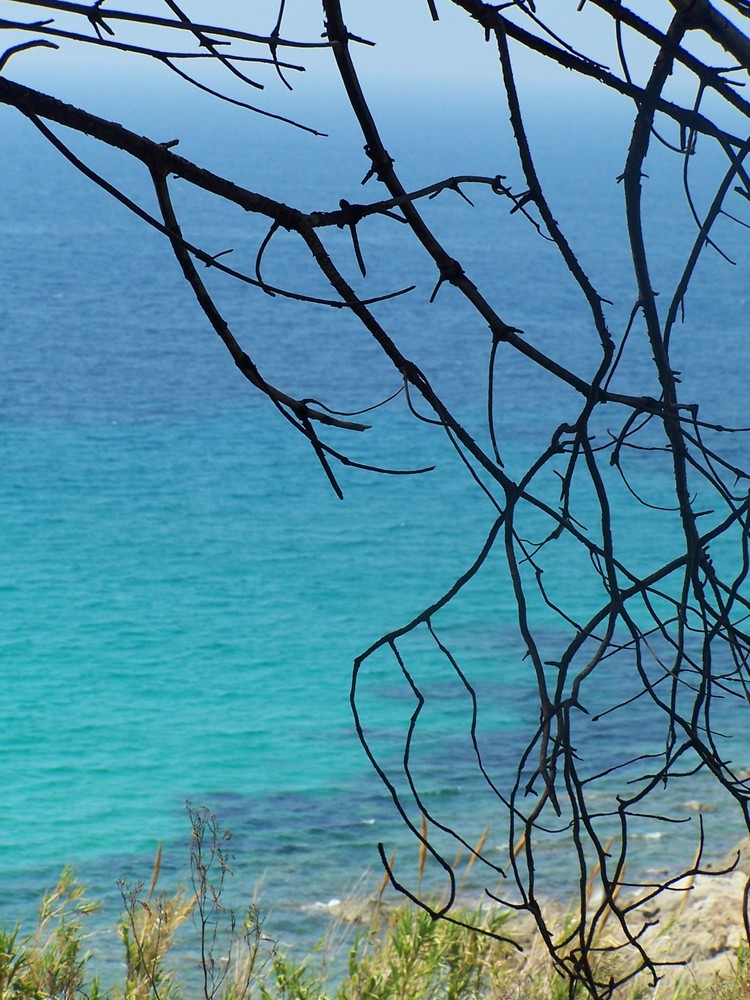 île rousse (corse) de Delphine HARDY 