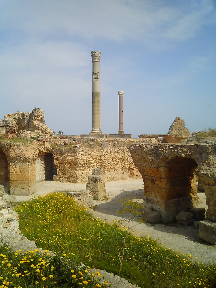 Le rovine di Cartagine