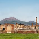  Le rovine di Pompei 