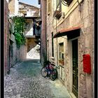 le rue di Ascoli #1