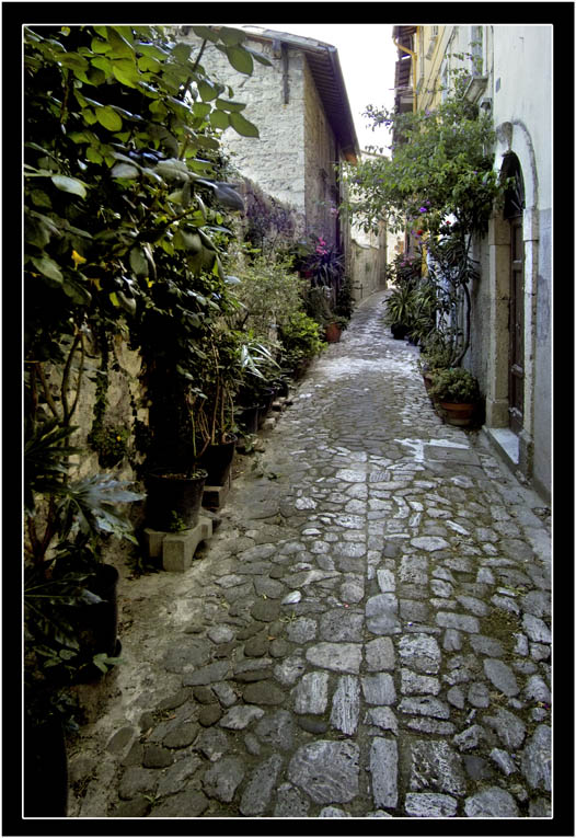 le rue di Ascoli #5