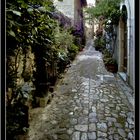 le rue di Ascoli #5